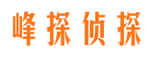 桂阳捉小三公司